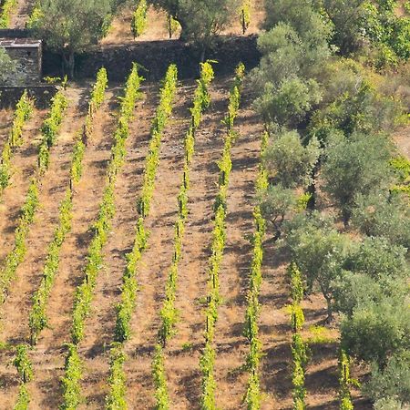 Quinta Dos Padrinhos - Suites In The Heart Of The Douro Lamego Extérieur photo