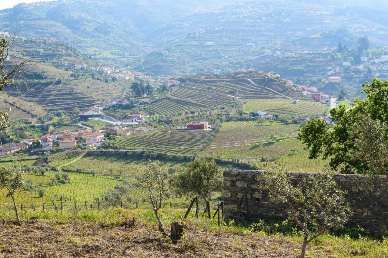Quinta Dos Padrinhos - Suites In The Heart Of The Douro Lamego Extérieur photo