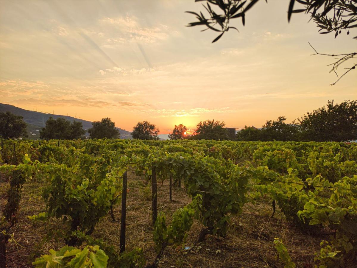 Quinta Dos Padrinhos - Suites In The Heart Of The Douro Lamego Extérieur photo