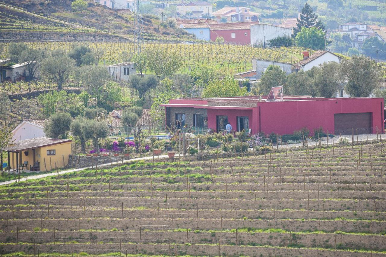 Quinta Dos Padrinhos - Suites In The Heart Of The Douro Lamego Extérieur photo