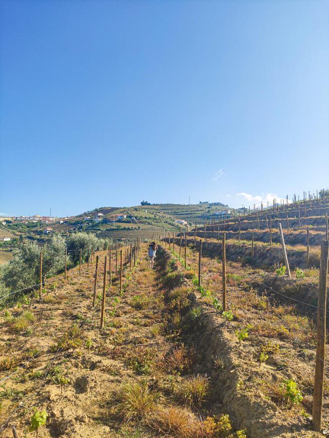 Quinta Dos Padrinhos - Suites In The Heart Of The Douro Lamego Extérieur photo