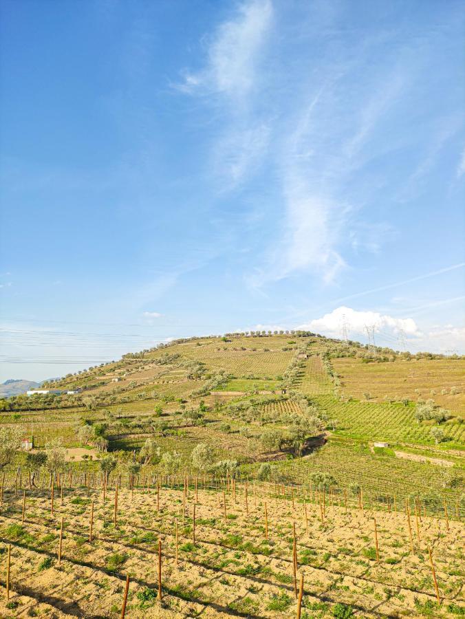 Quinta Dos Padrinhos - Suites In The Heart Of The Douro Lamego Extérieur photo