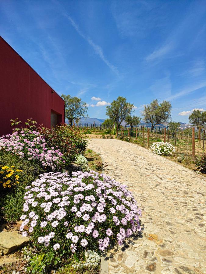 Quinta Dos Padrinhos - Suites In The Heart Of The Douro Lamego Extérieur photo