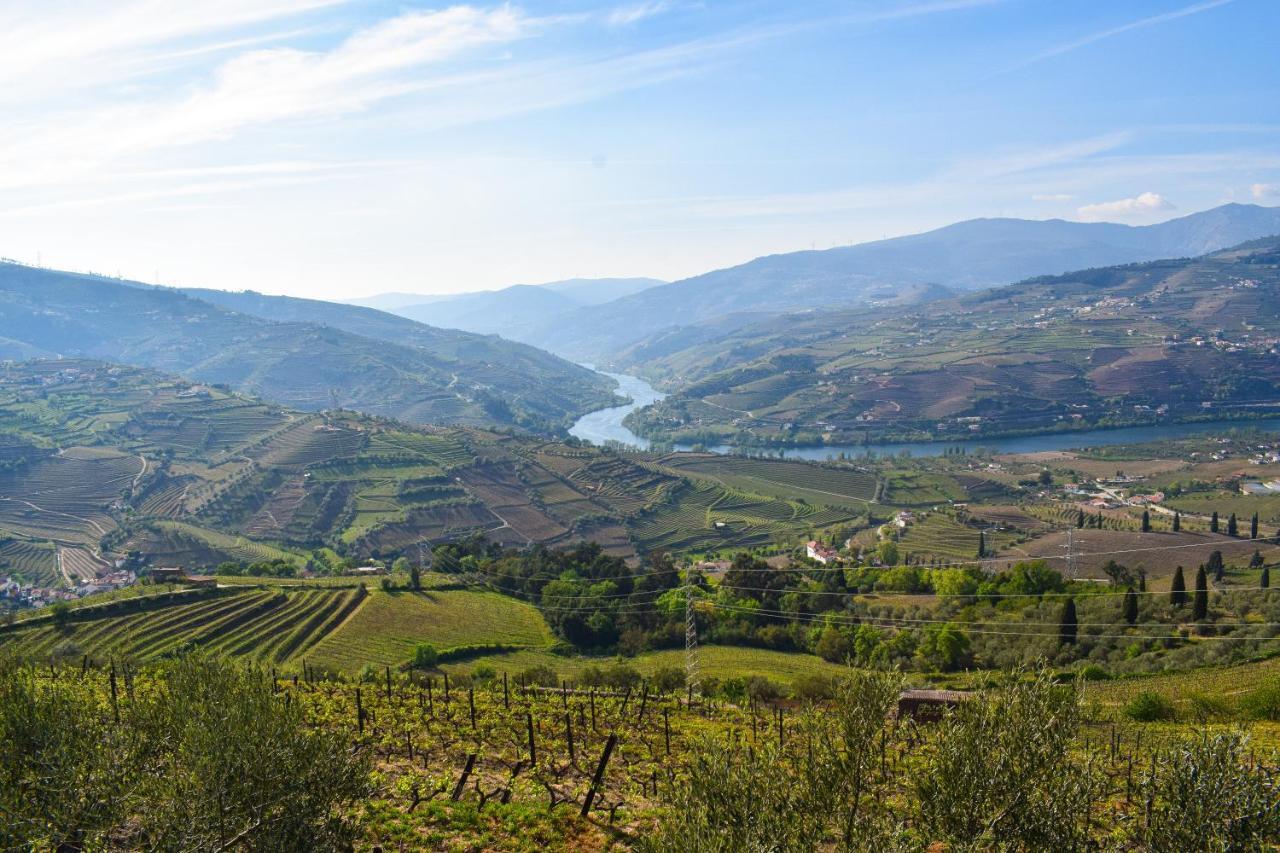 Quinta Dos Padrinhos - Suites In The Heart Of The Douro Lamego Extérieur photo