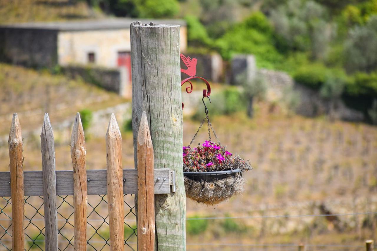 Quinta Dos Padrinhos - Suites In The Heart Of The Douro Lamego Extérieur photo