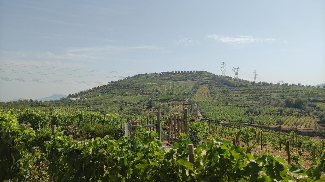 Quinta Dos Padrinhos - Suites In The Heart Of The Douro Lamego Extérieur photo