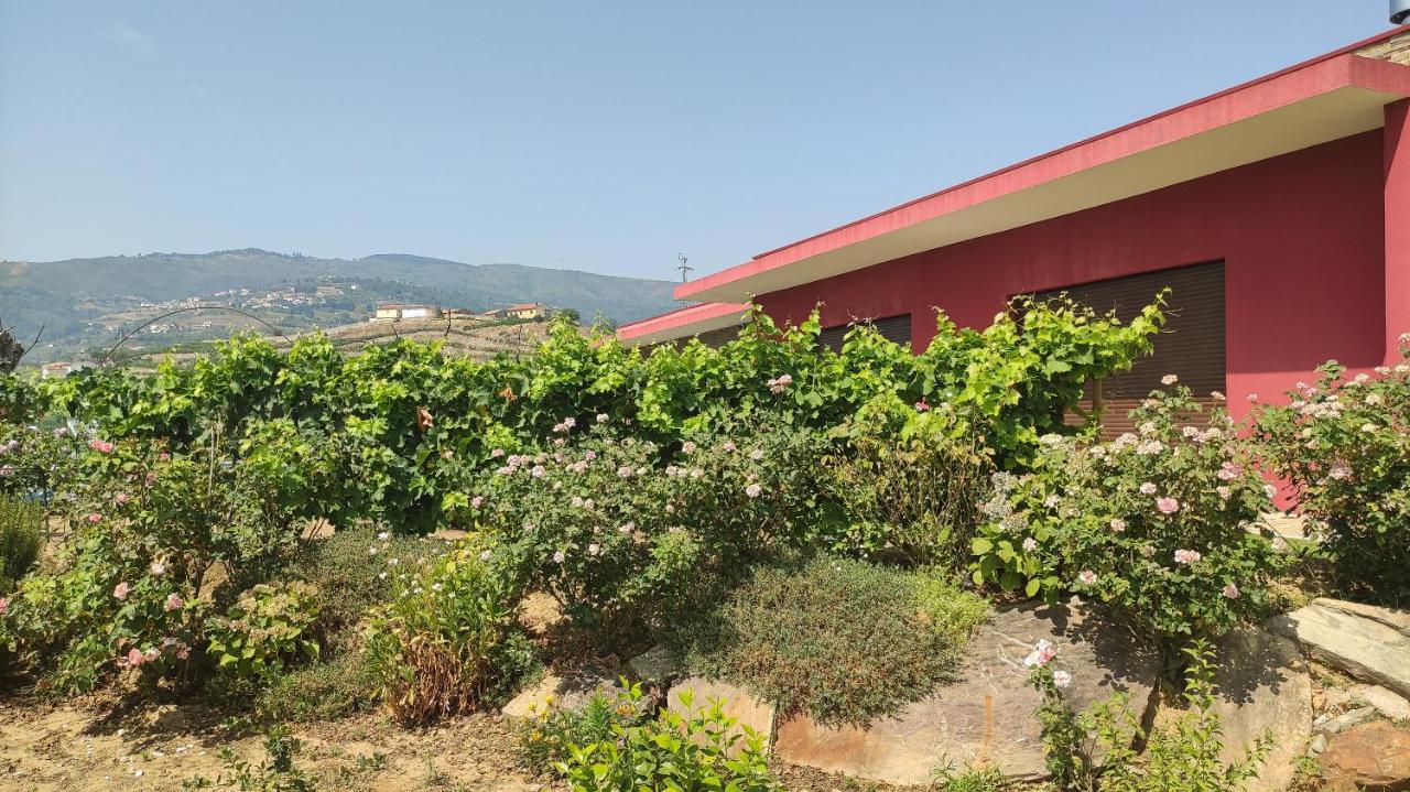 Quinta Dos Padrinhos - Suites In The Heart Of The Douro Lamego Extérieur photo