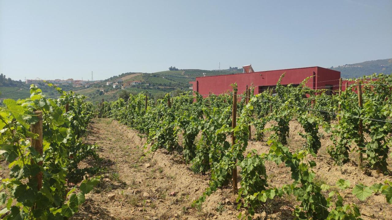 Quinta Dos Padrinhos - Suites In The Heart Of The Douro Lamego Extérieur photo