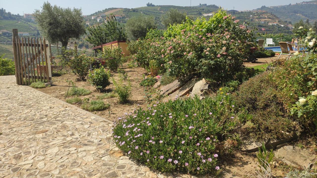 Quinta Dos Padrinhos - Suites In The Heart Of The Douro Lamego Extérieur photo