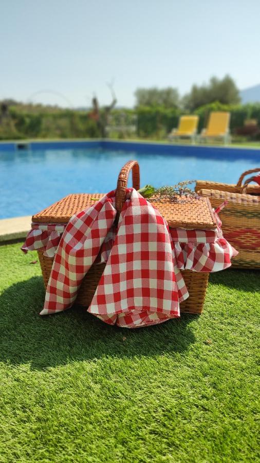 Quinta Dos Padrinhos - Suites In The Heart Of The Douro Lamego Extérieur photo