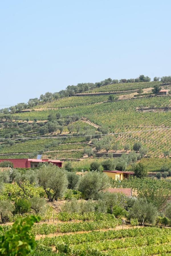 Quinta Dos Padrinhos - Suites In The Heart Of The Douro Lamego Extérieur photo